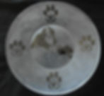 Dessert Plate