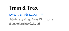 Raport Odesłania według kategorii w Wix
