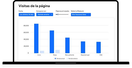 El informe de visitas a la página en Wix