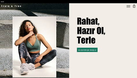Yerleşik bir online mağazası ve alışveri