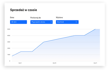 Raport sprzedaży w czasie w Wix Analytic