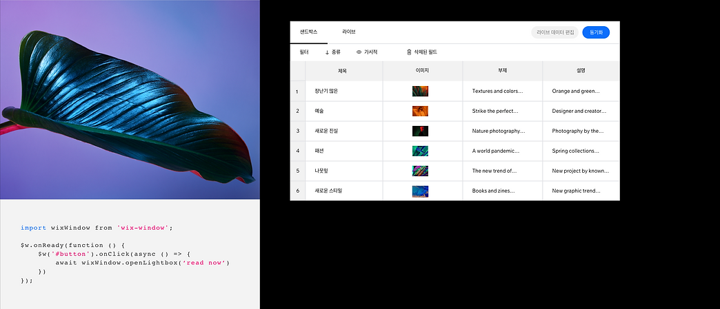 여러 페이지와 사용자 정의 코드를 생성하기위한 데이터베이스를 포함하여 Velo 기술을 사용하는 잡지 웹사이트의 백엔드.