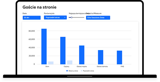 Raport Odwiedziny strony w Wix Analytics