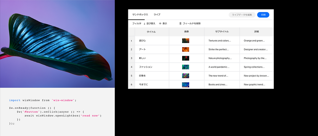 複数のページを作成するためのデータベースやカスタムコードなどの Velo テクノロジーを使用した雑誌ウェブサイトのバックエンド。