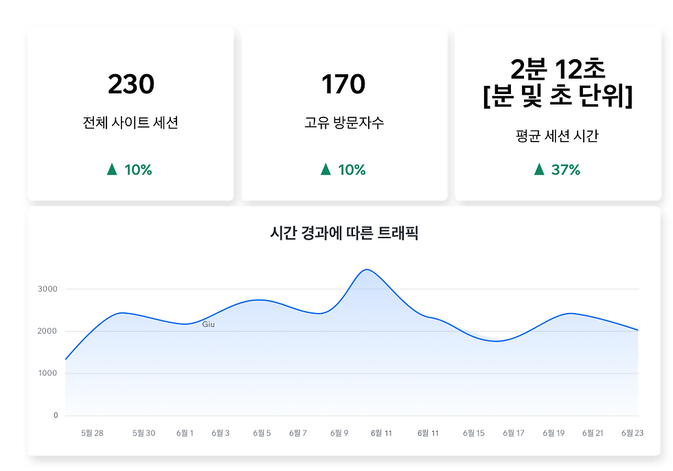 Wix 애널리틱스의 트래픽 개요 보고서 예시