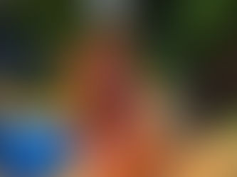 A rosé wine bottle labeled "Phulkari" and "Kismet Estate Winery" sits on a wooden table. Background of lush green plants and colorful flowers.