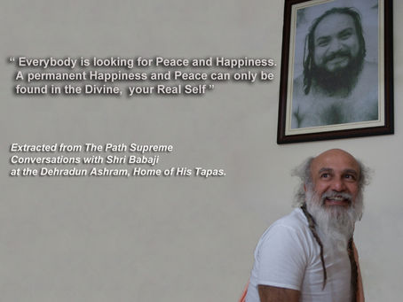 Everybody is looking for Peace and Happiness