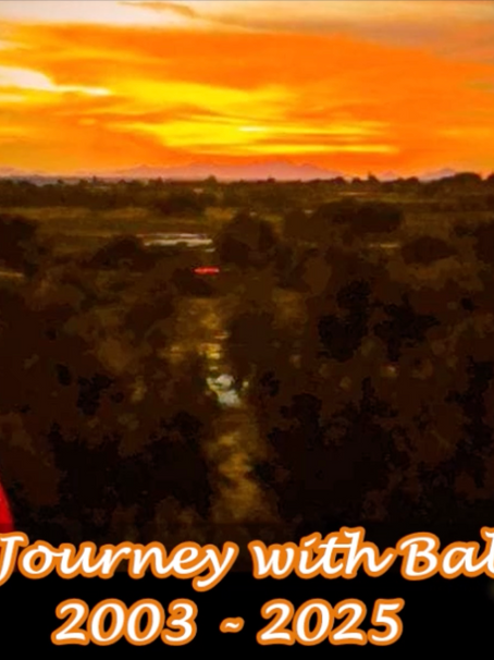 25 Years - the Malaysian Mission journey with Babaji