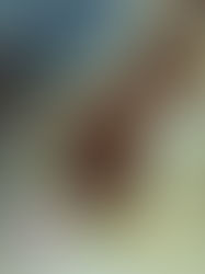 His Master's Grace 21072017