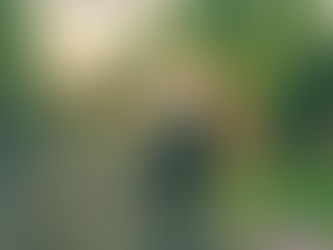 His Master's Grace 03/09/2017