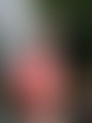 His Master's Grace 01/09/2017