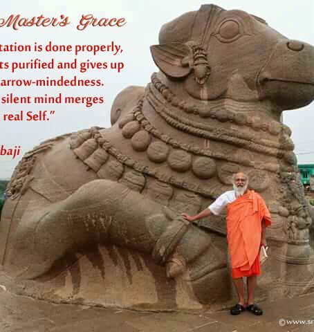 His Master's Grace 11/09/2017