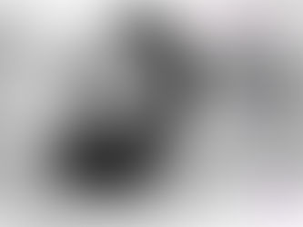 His Master's Grace 04/09/2017