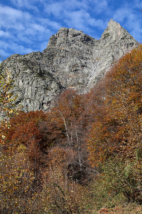 Dent d'Orlu