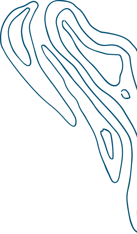 Vector (11).png
