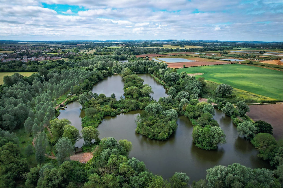 The Alcove Syndicate Fishing Lake