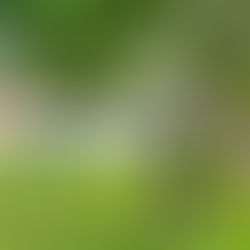 Maksim Tuuva, kuka hän on?