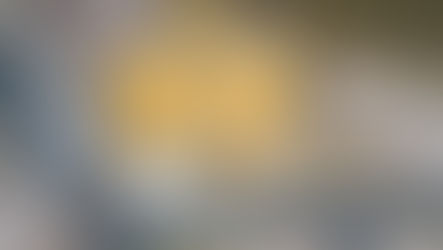 Update: Construction Photos