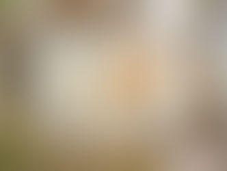 Update: Construction Photos