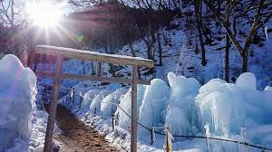 Ice Forest of Ashigakubo