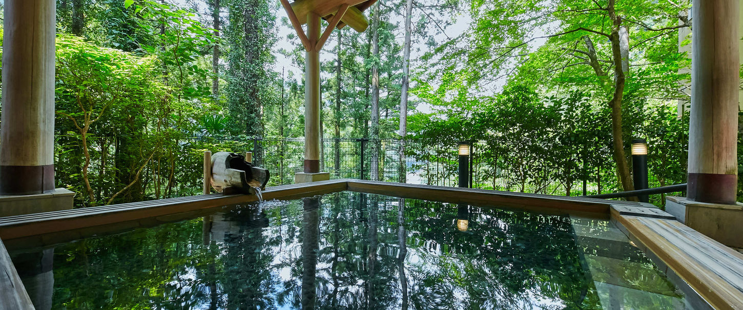 Tranquil outdoor hot spring bath surrounded by forest trees at Moegi no Yu in Okutama