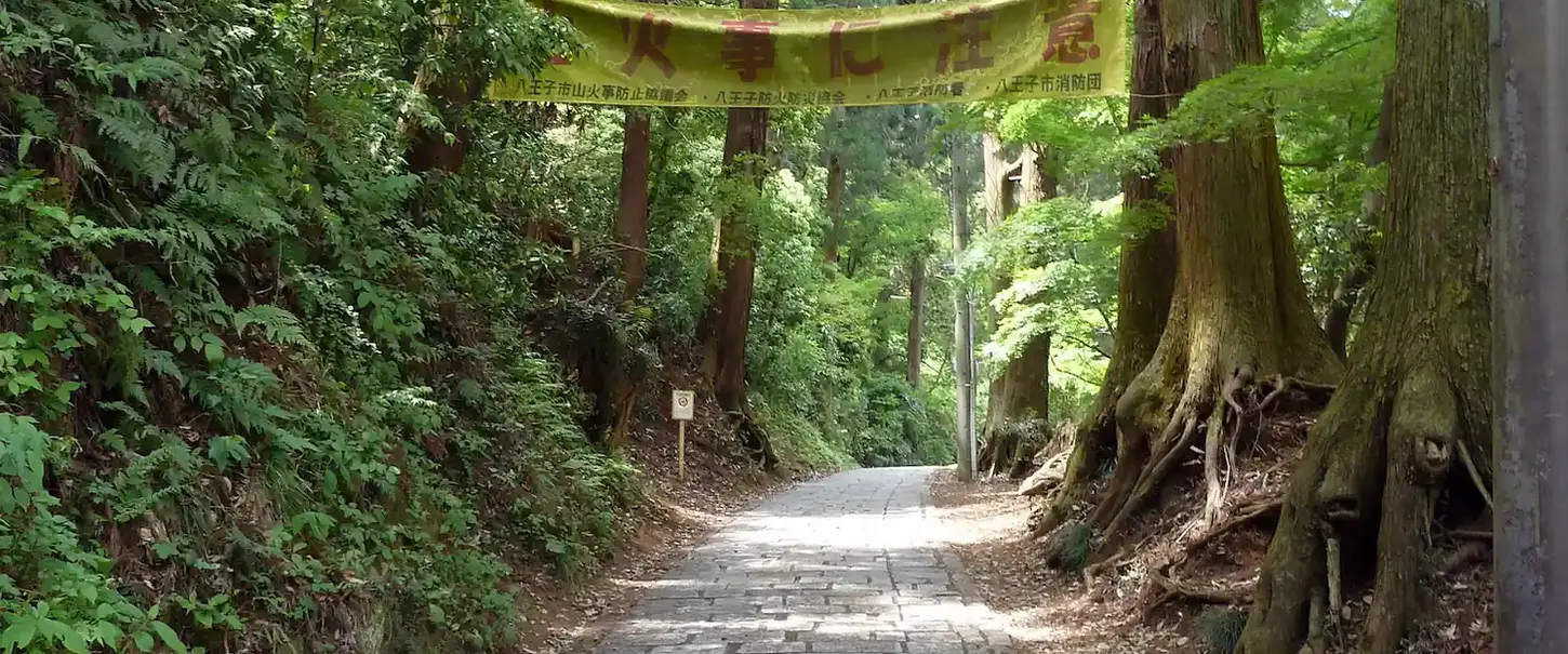 Paved stone walking trail leading through tall ancient cedar trees on Mount Takao