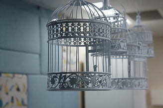 _DSC2360 (2).jpeg