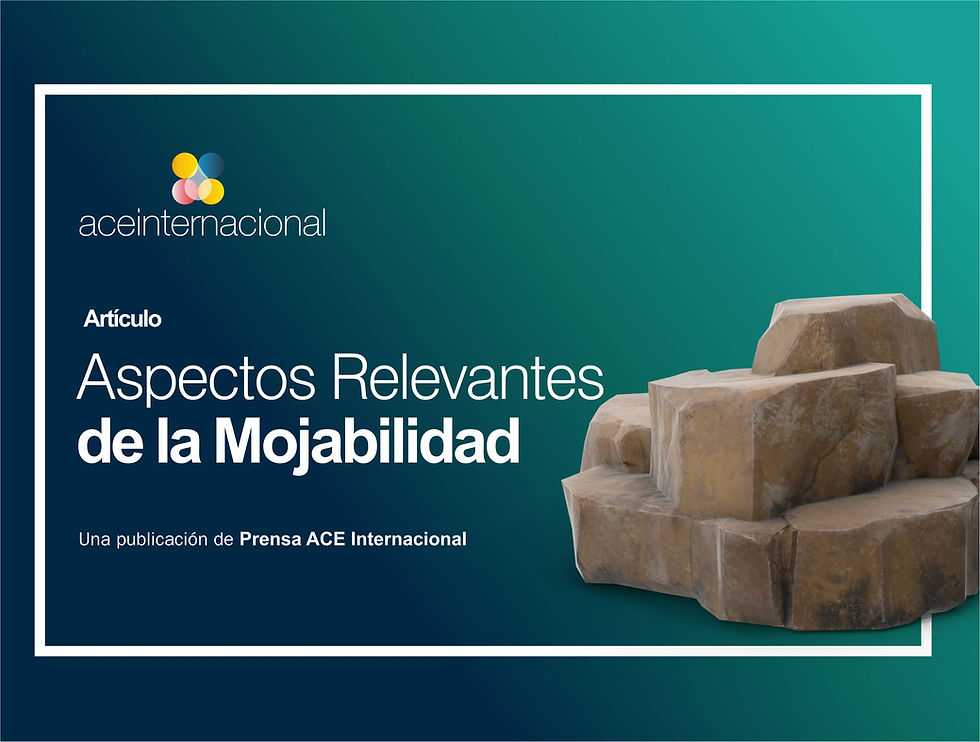 ACE Internacional cursos petroleros, cursos desarrollo humano, curso coaching
