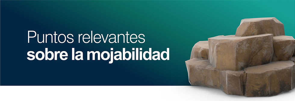 ACE Internacional cursos petroleros, cursos desarrollo humano, curso coaching