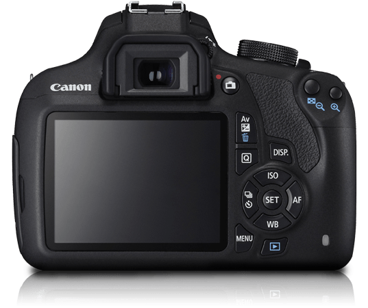 1200D-back.png