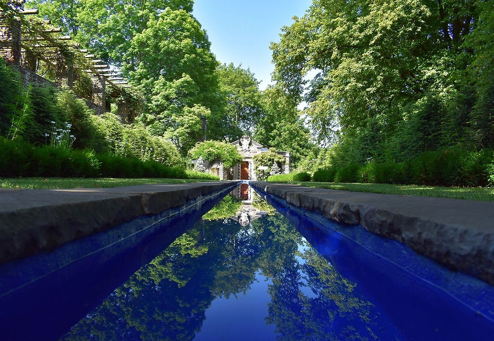 prem health 45454545