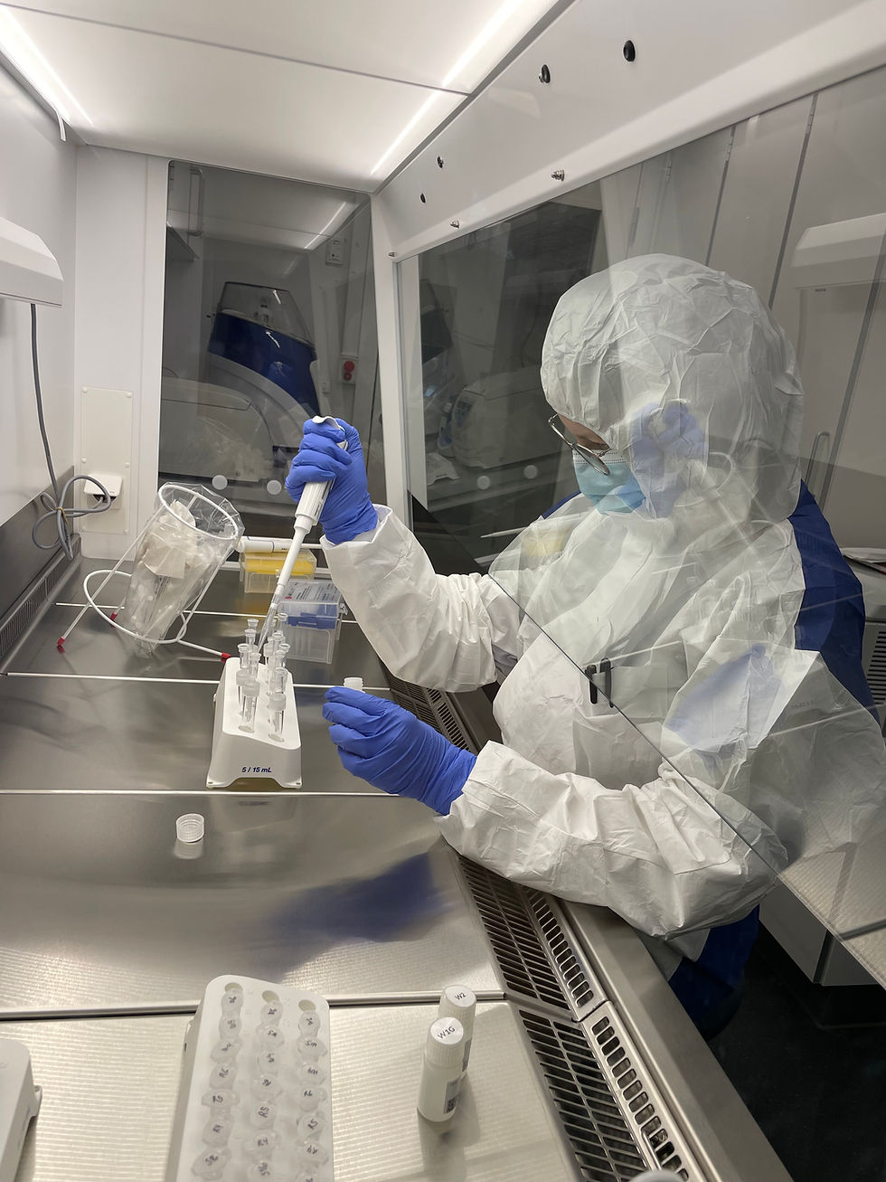 Under the Microscope: Tracking the Bacteria That Break Down Archaeological Wood