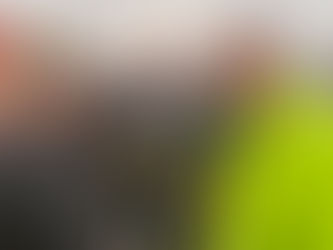 Fieldwork with ENDURE: Exploring preservation and decay beneath the waves