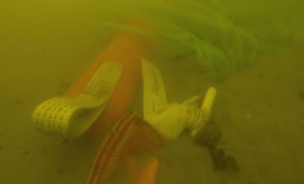 Figure 4: After only 6 days the mats have caught some sediment. Photo RCE Maritime Programme