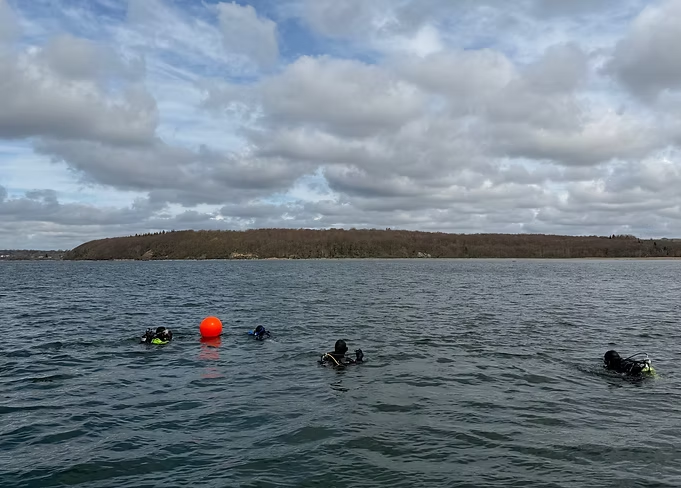The divers have just entered the water, poised to make their descent.