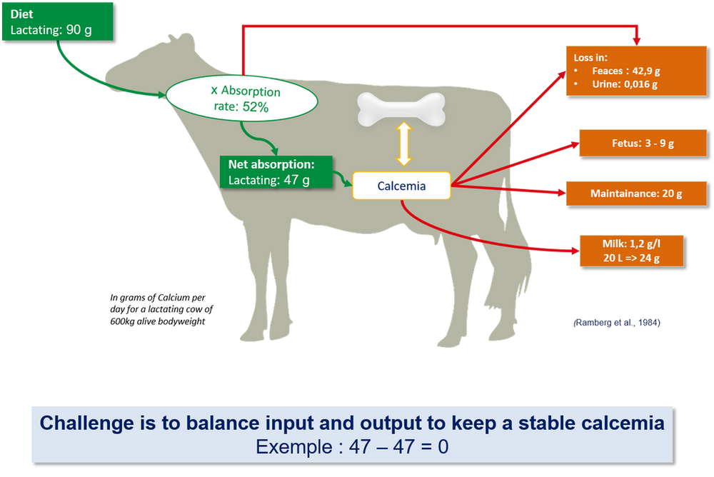 TOO SOON OR TOO LATE?