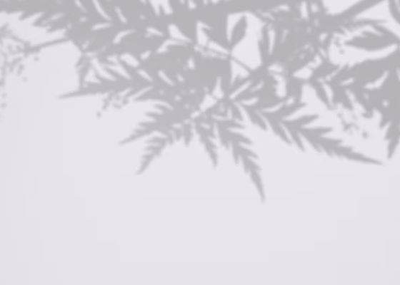 shadows-fern-leaves-white-wall_71294-127