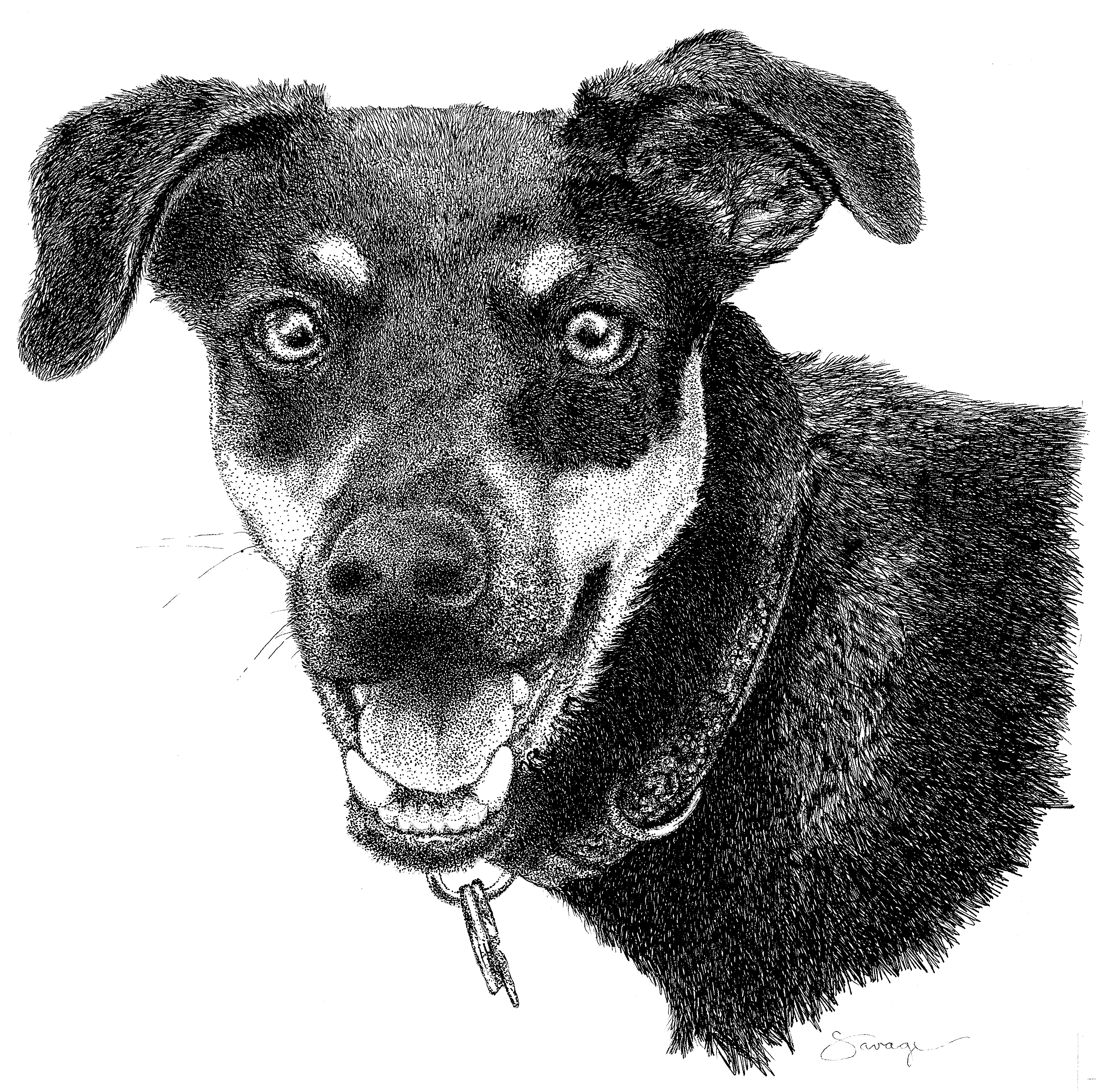 Yogi