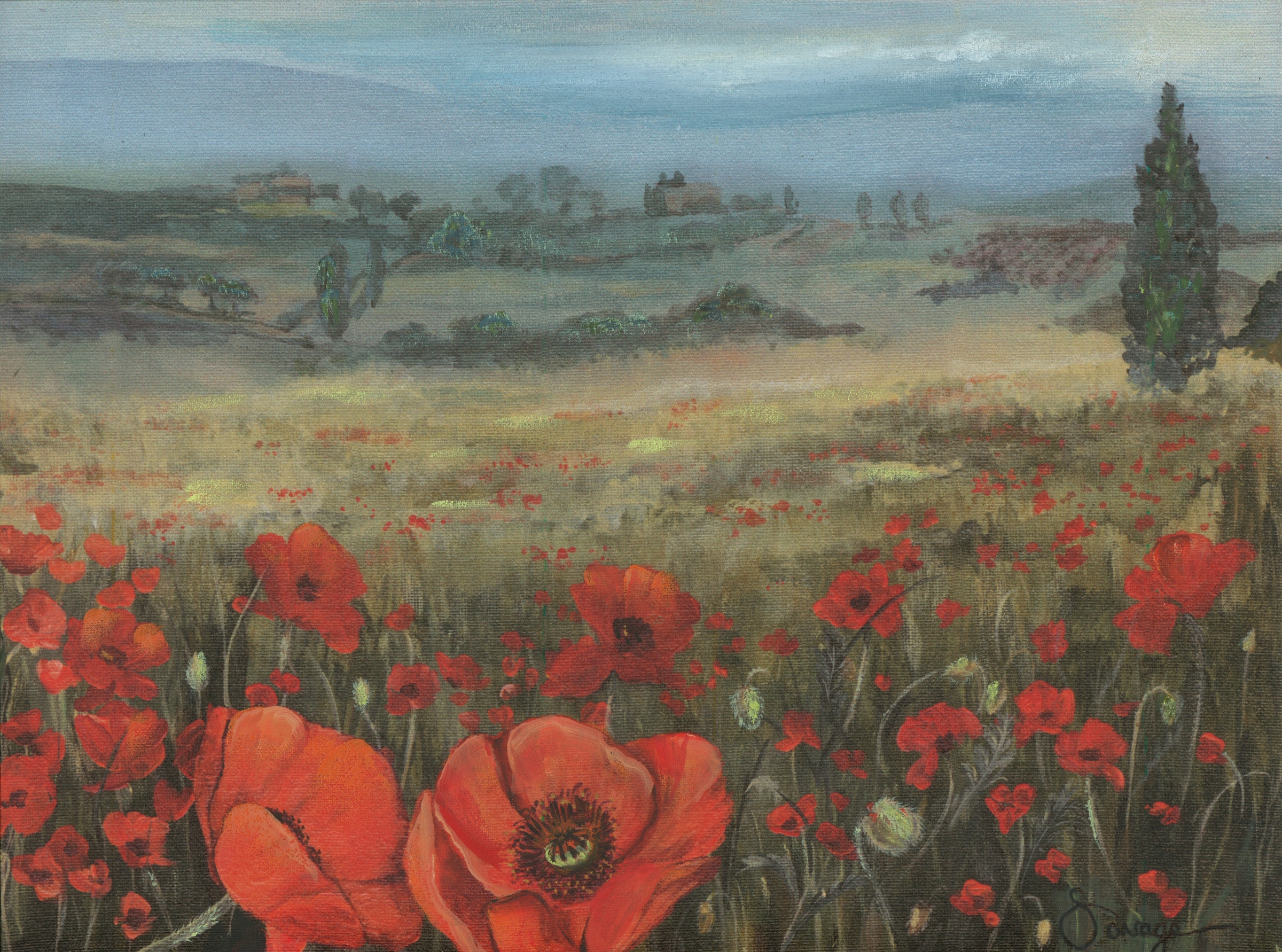 Field of Poppies