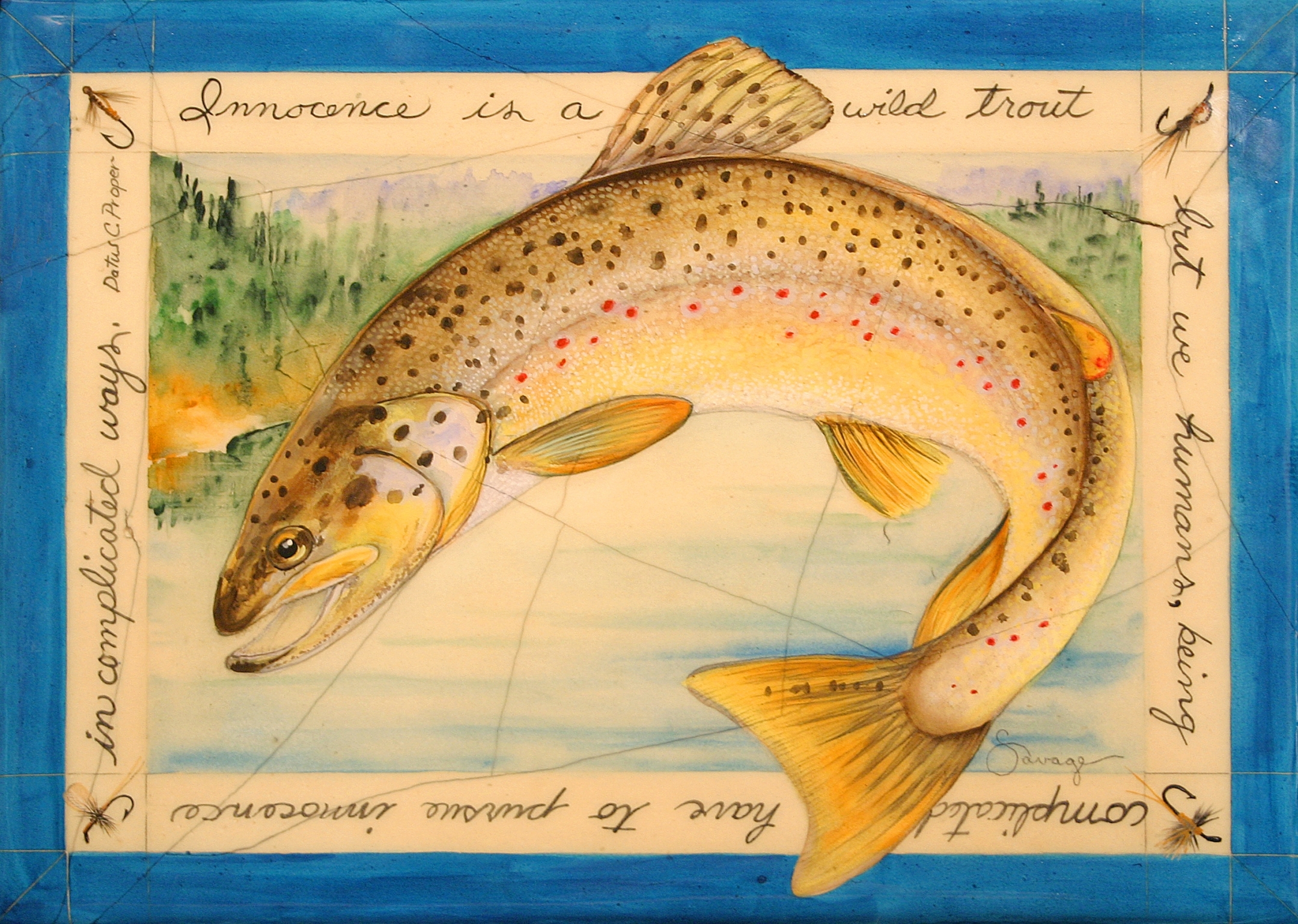 Wild Trout
