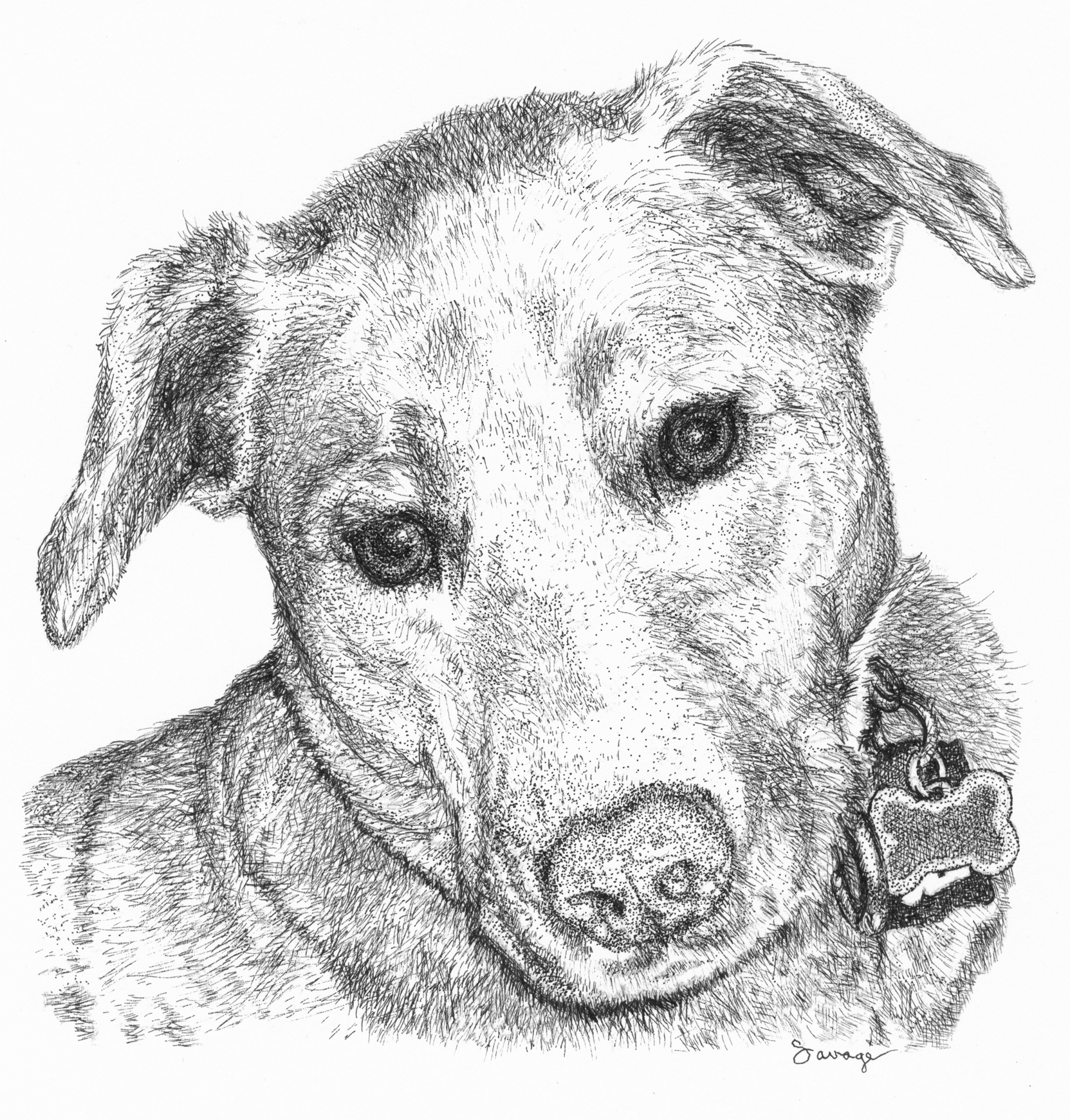 Wilson