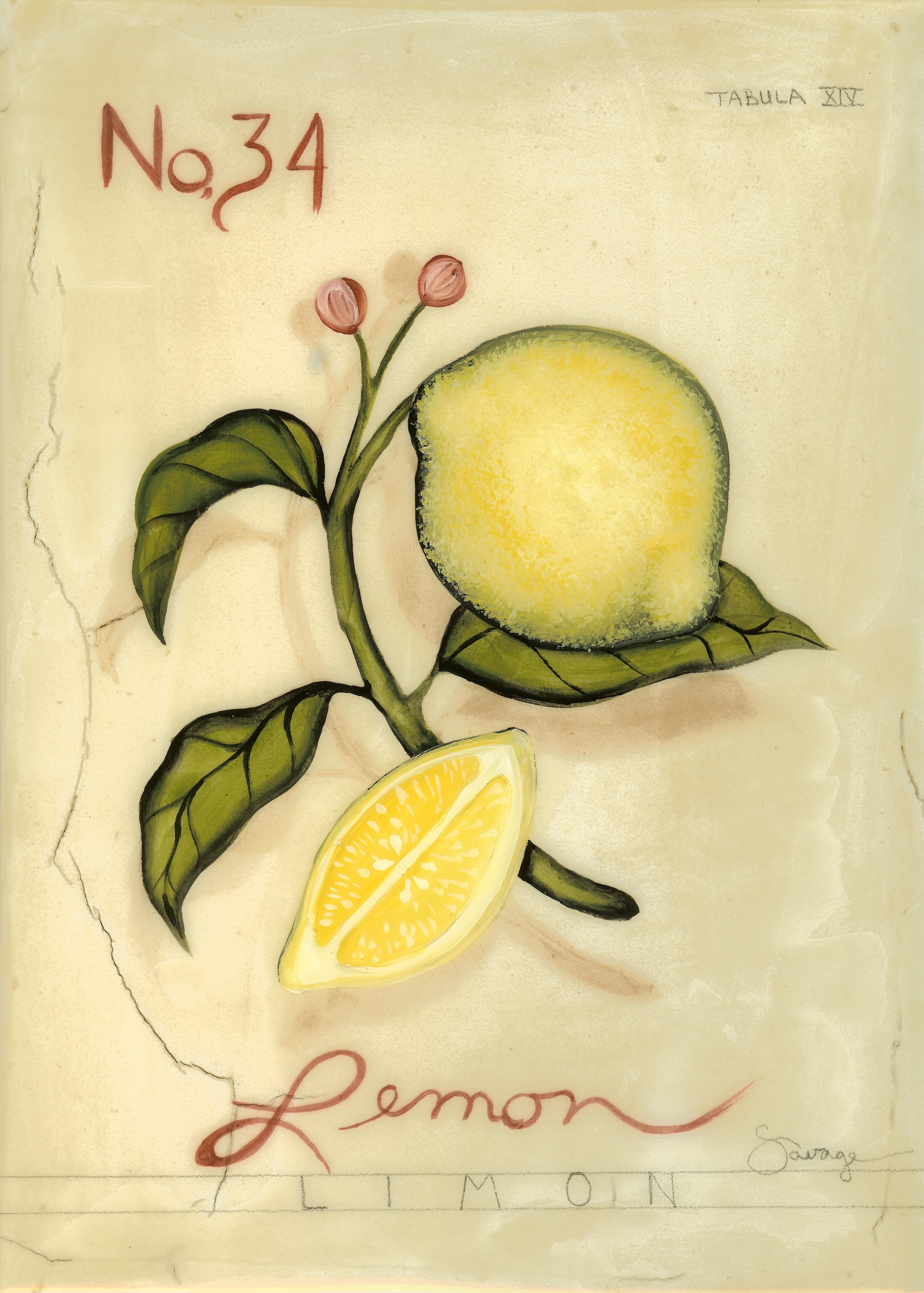 No. 34 Lemon