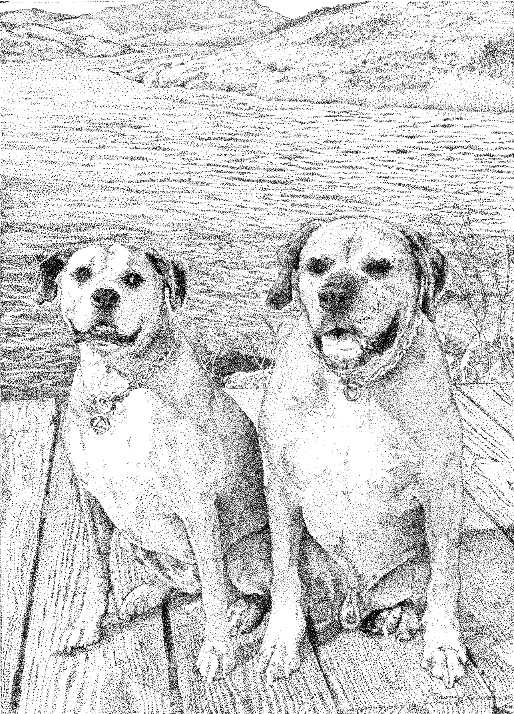 Dogs on the Dock