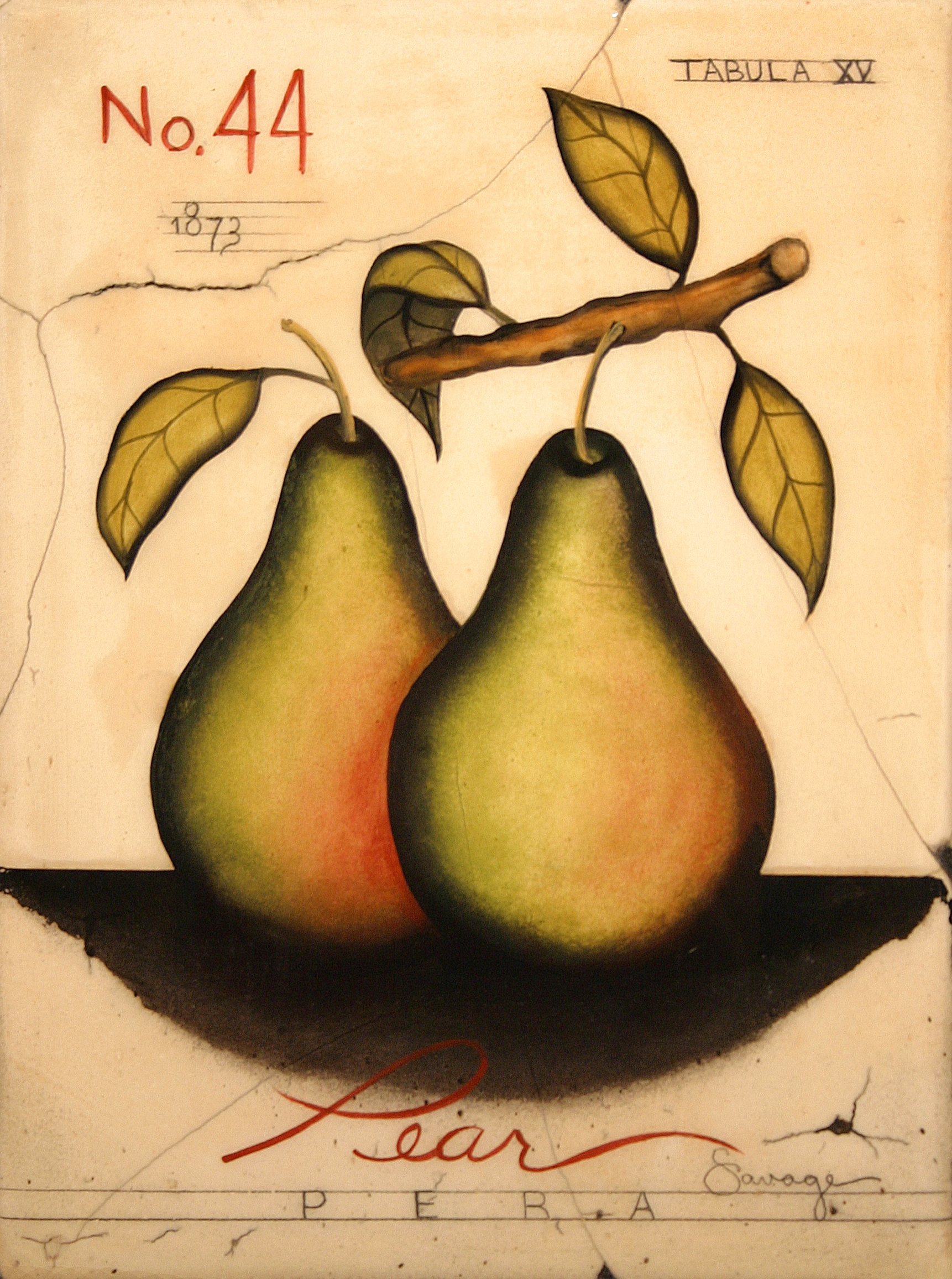 No. 44 Pear
