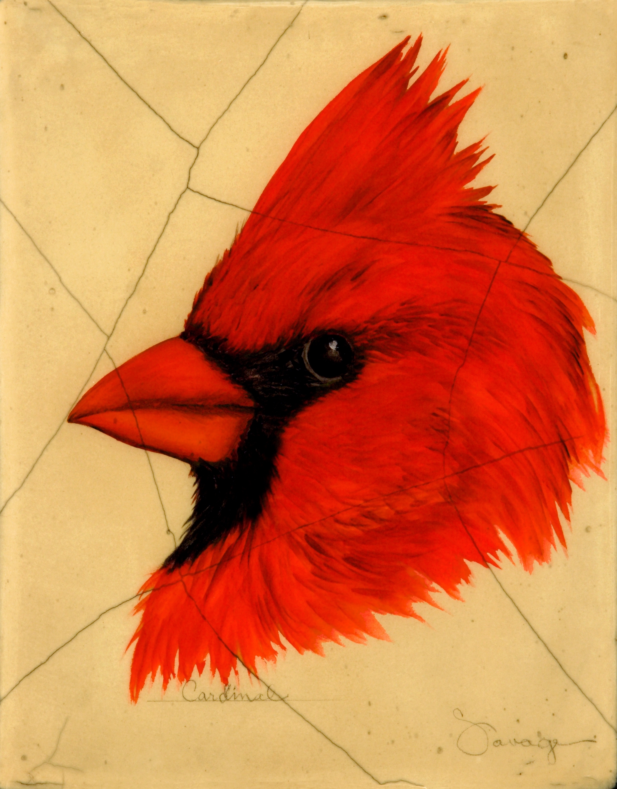 Cardinal