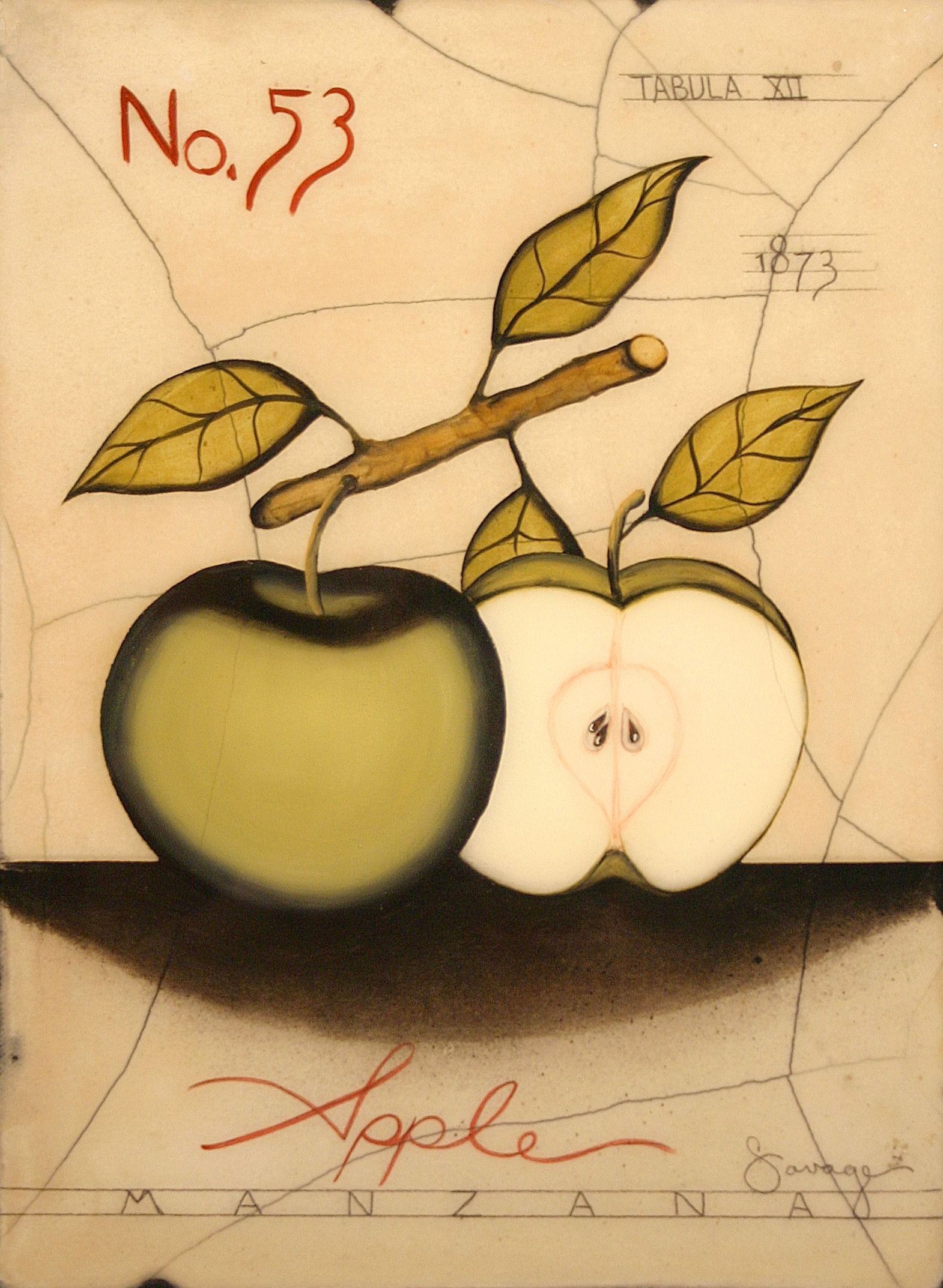 No. 53 Granny Smith Apple
