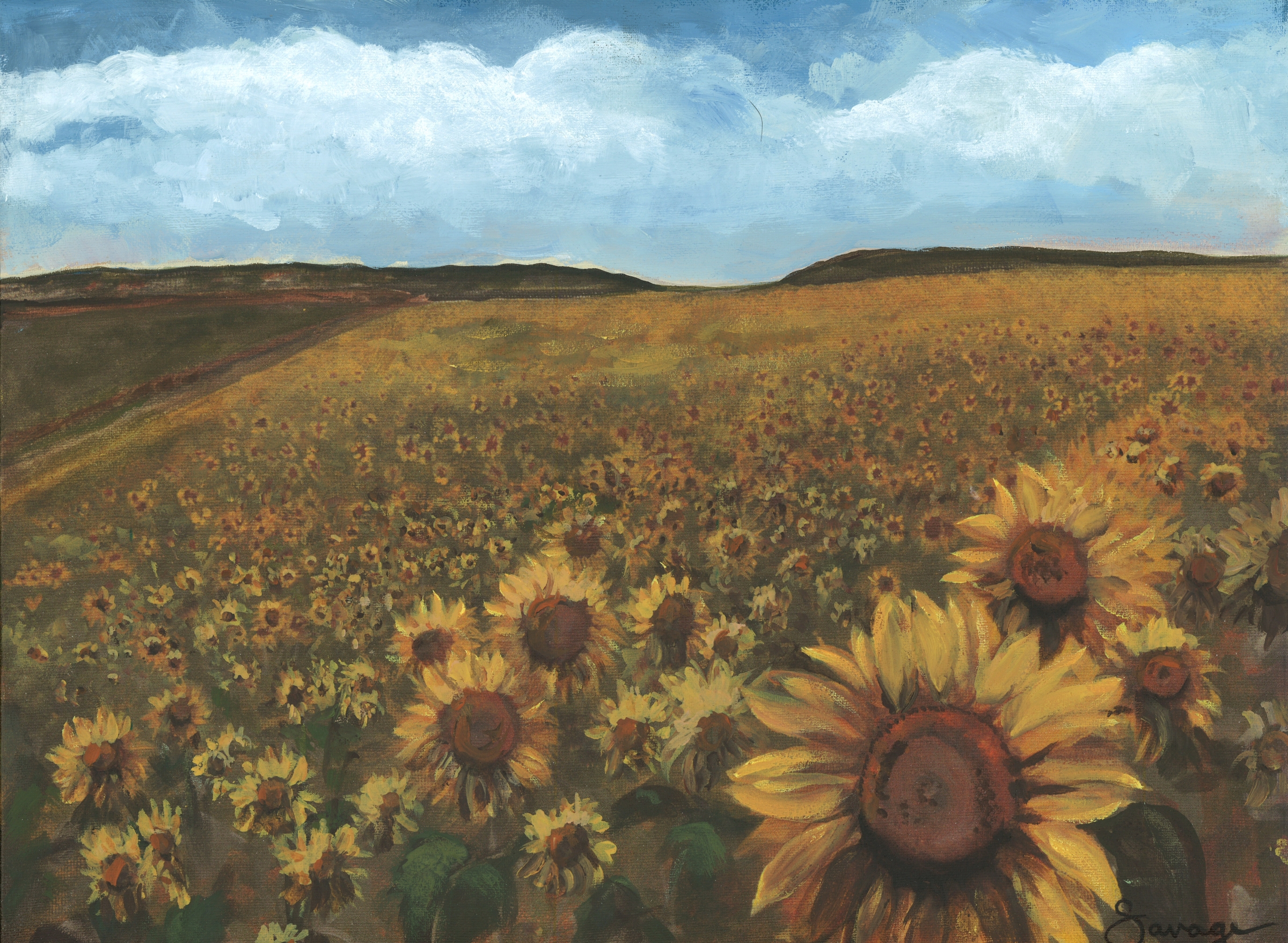Field of Sunflowers