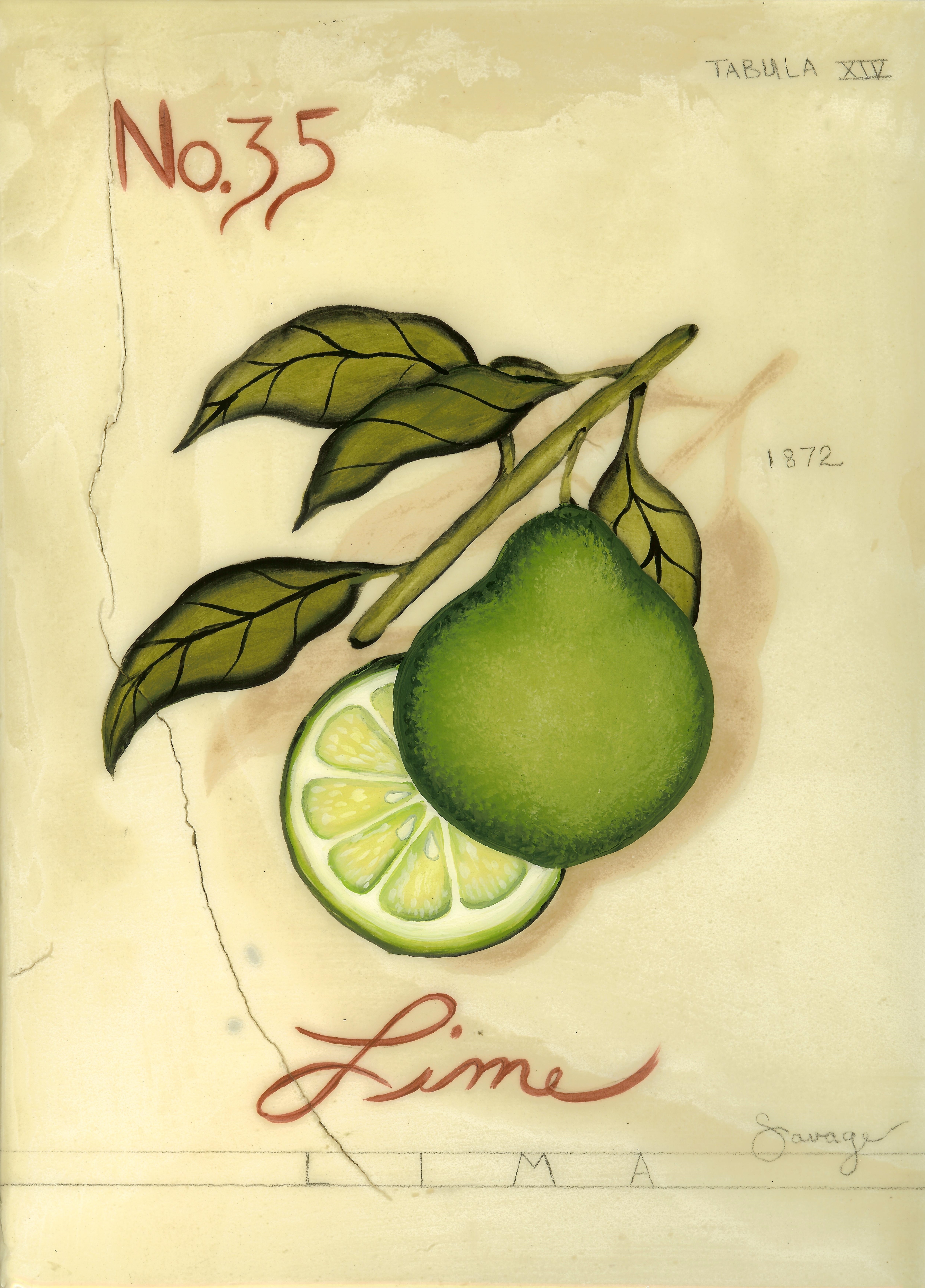 No. 35 Lime