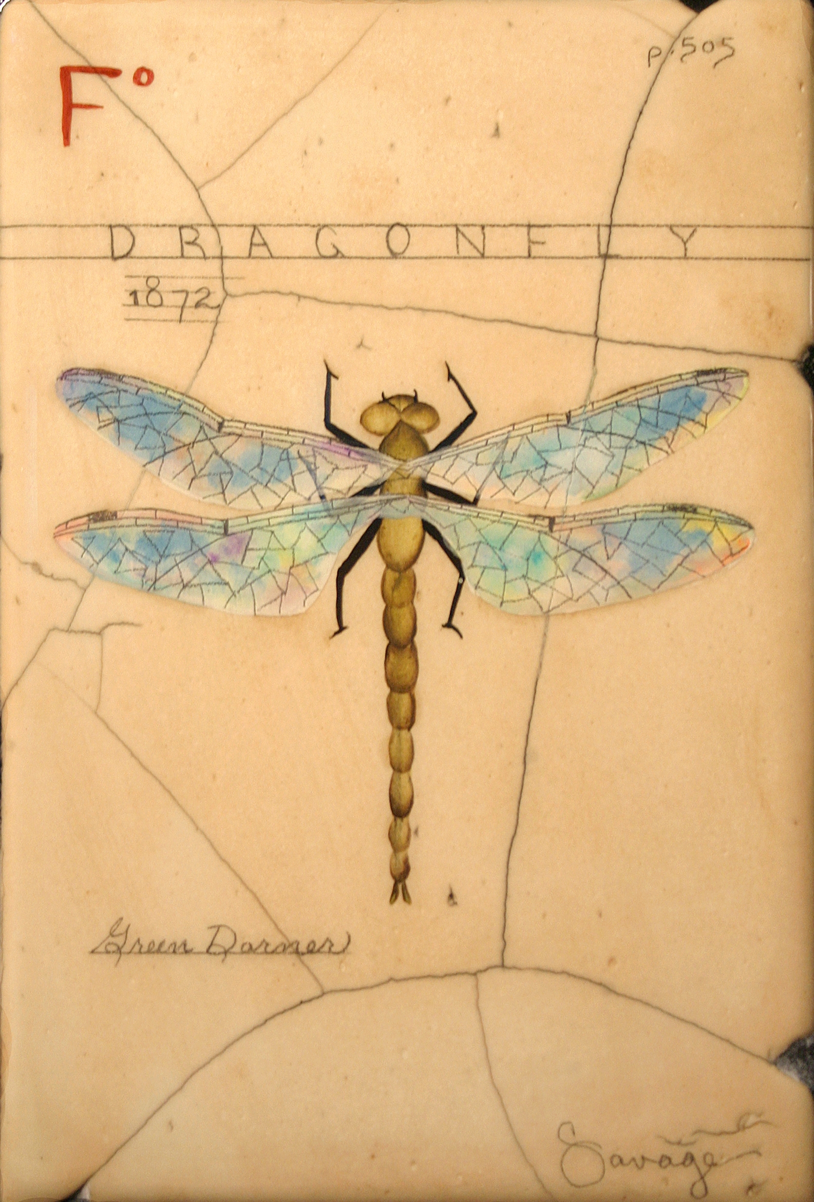 F. Green Dragonfly