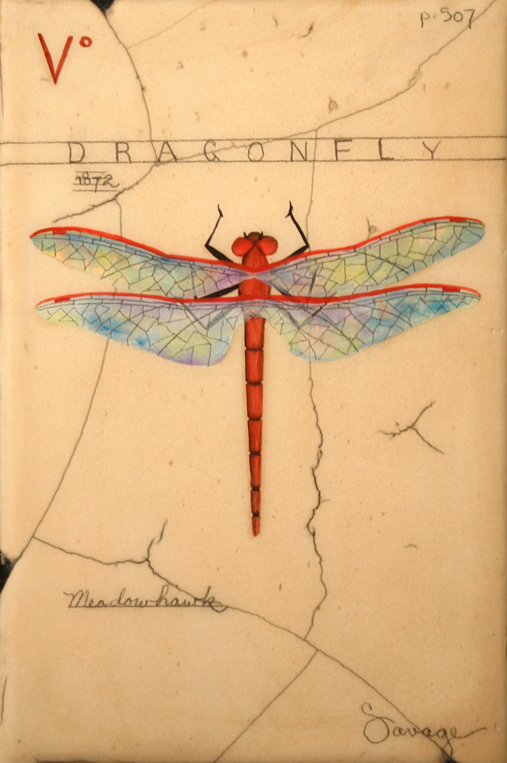 V. Red Dragonfly